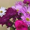 florflower